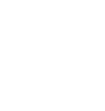 SEGURIDAD